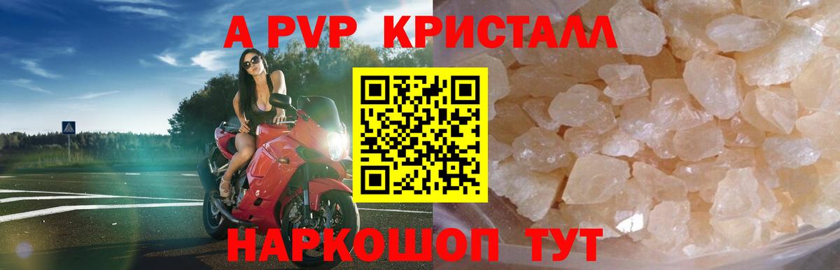 Alfa_PVP СК Химки