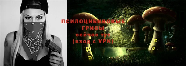МДПВ Абаза