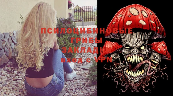 МДПВ Абаза