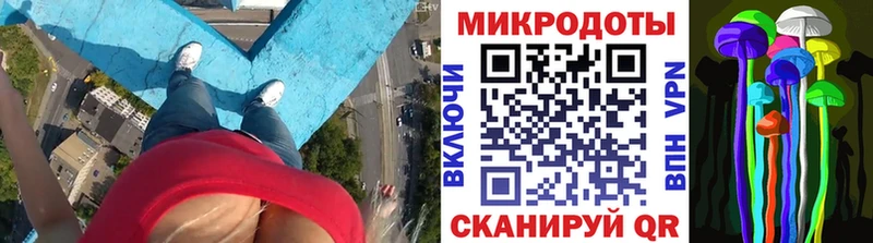 цены наркотик  Химки  Галлюциногенные грибы мицелий 