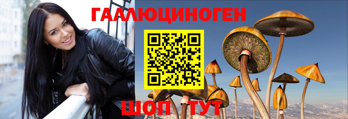 Галлюциногенные грибы Magic Shrooms  Псилоцибиновые грибы мухоморы  Вход с VPN  Химки 