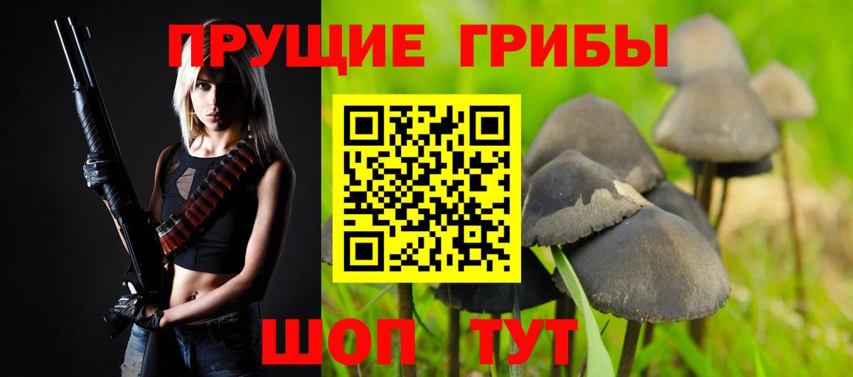 Псилоцибиновые грибы мицелий Химки